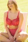 Panache Allure Deep Brief -alushousut Raspberry-thumb Keskikorkeat pitsialushousut Allure-sarjaan. 36-46 10764-RAY