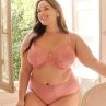 Sculptresse by Panache Dream Full Brief -alushousut Rose Pink-thumb Full Brief -malliset korkeavyötäröiset alushousut. 40-50 10804-ROP