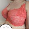 Panache Allure UW Full Cup -rintaliivit Coral-thumb Kaarituettu, toppaamaton, lähes täyskuppinen pitsiliivi. 65-90, E-M 10765-CRL