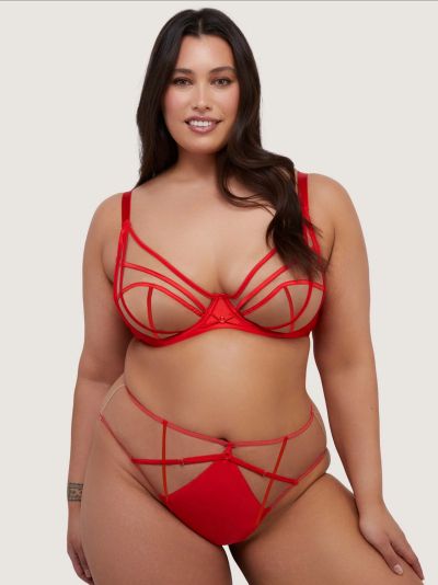 Playful Promises Ramona Strap & Mesh HW Brief -alushousut Ruby Red Satin  38 - 54 PP-HWB-3220-RR