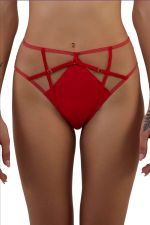 Ramona Strap & Mesh HW Brief -alushousut Ruby Red Satin